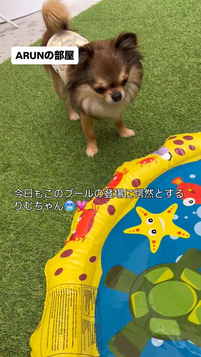 ୨୧ ∴ARUNの部屋∴ ୨୧