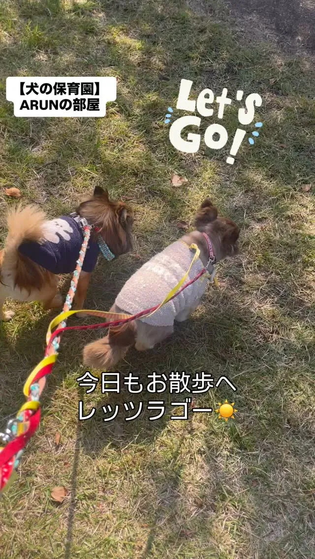 ୨୧ ∴犬の保育園∴ ୨୧