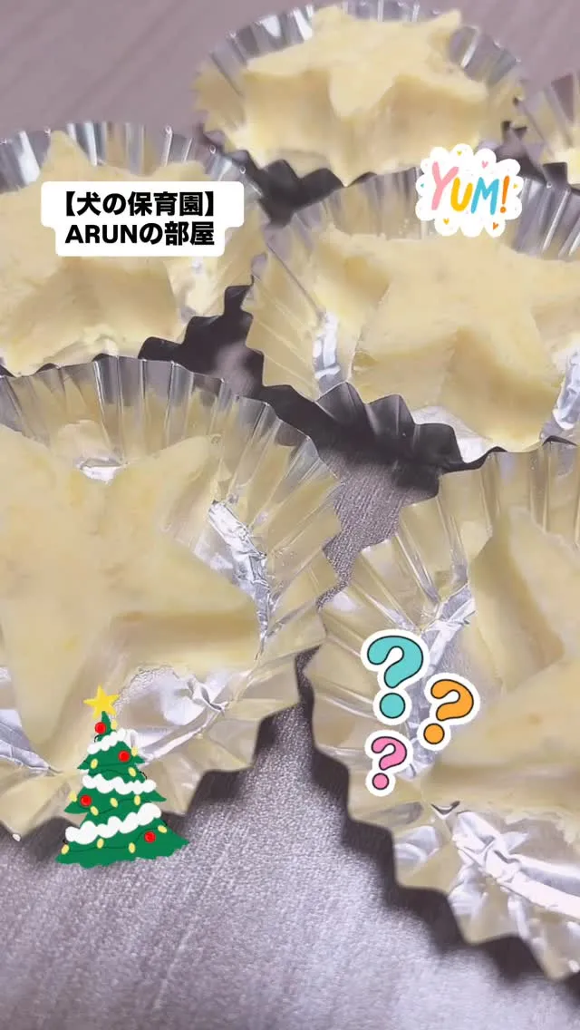 ୨୧ ∴犬の保育園∴ ୨୧