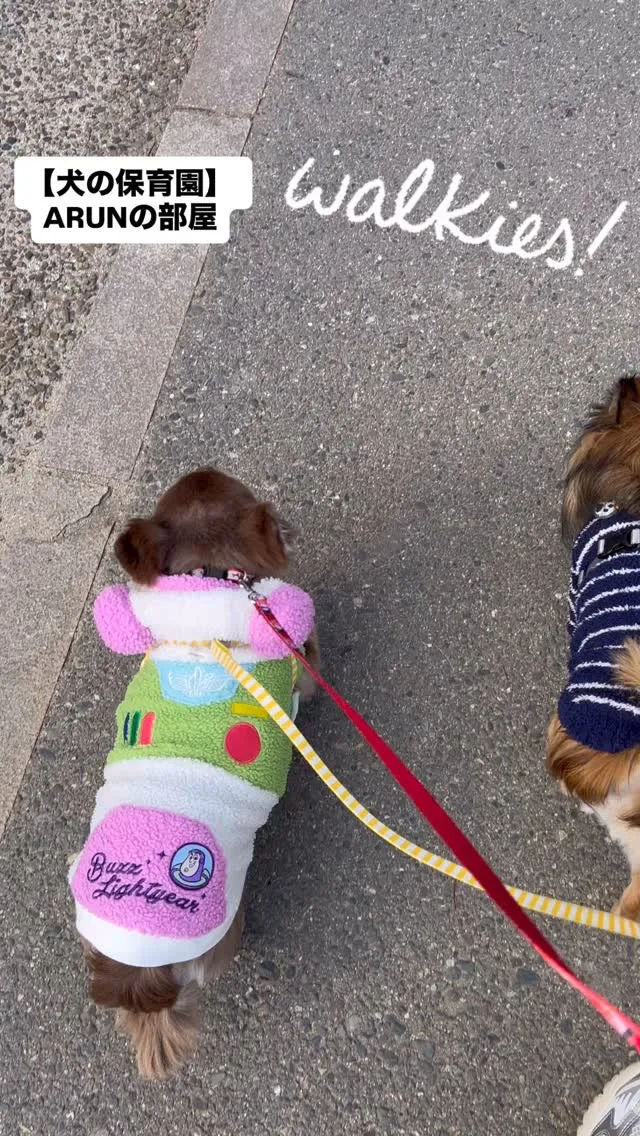 ୨୧ ∴犬の保育園∴ ୨୧