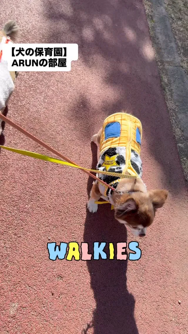 ୨୧ ∴犬の保育園∴ ୨୧