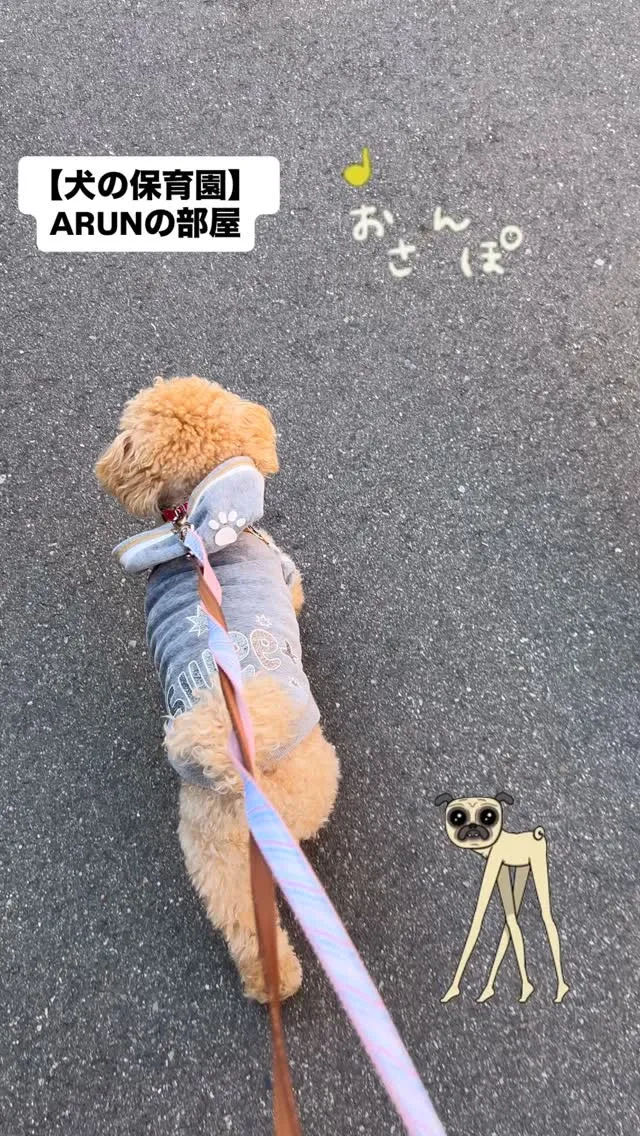 ୨୧ ∴犬の保育園∴ ୨୧