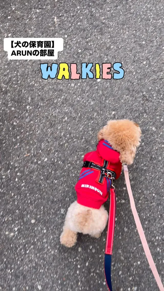 ୨୧ ∴犬の保育園∴ ୨୧