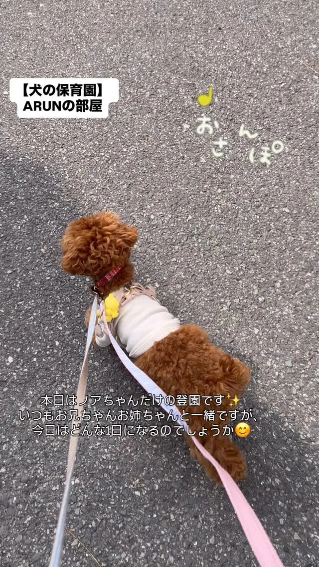 ୨୧ ∴犬の保育園∴ ୨୧