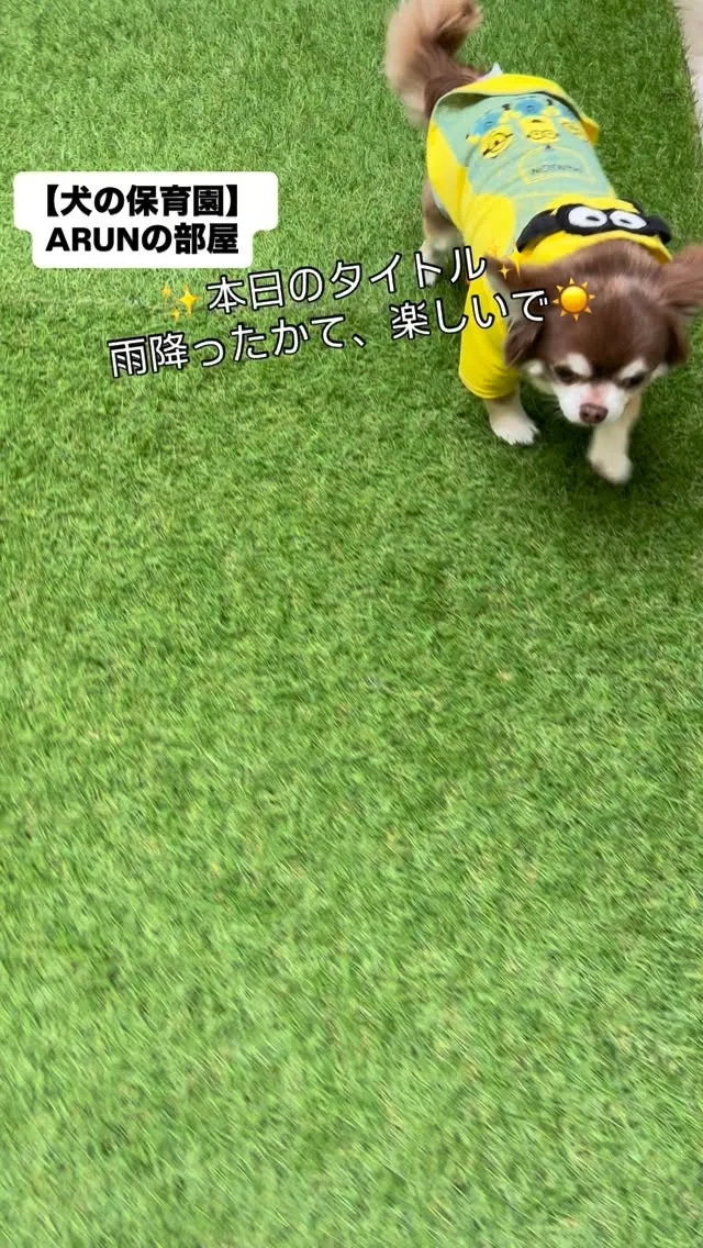 ୨୧ ∴犬の保育園∴ ୨୧