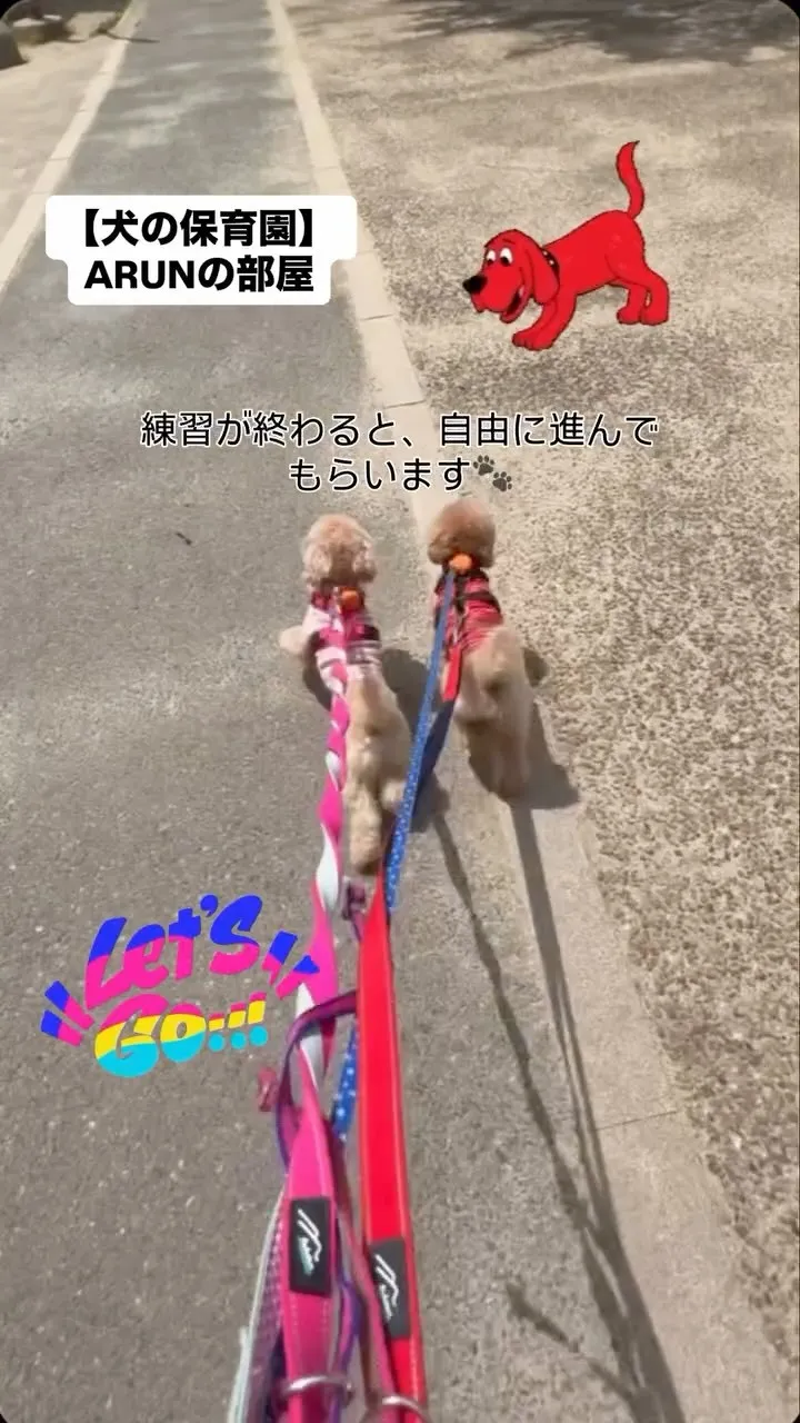 ୨୧ ∴犬の保育園∴ ୨୧